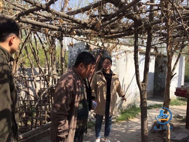 微信图片_20190402080400