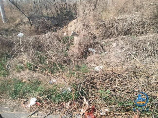 微信图片_20190402080410