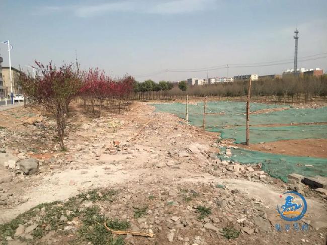 微信图片_20190402080416