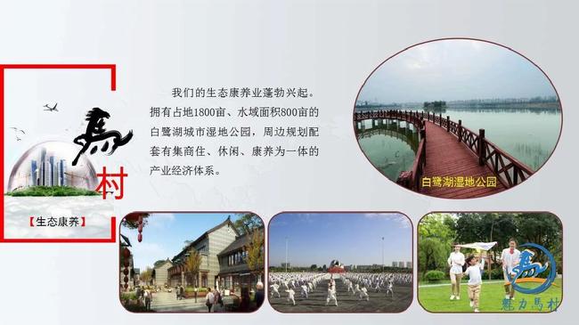 微信图片_20190426082605