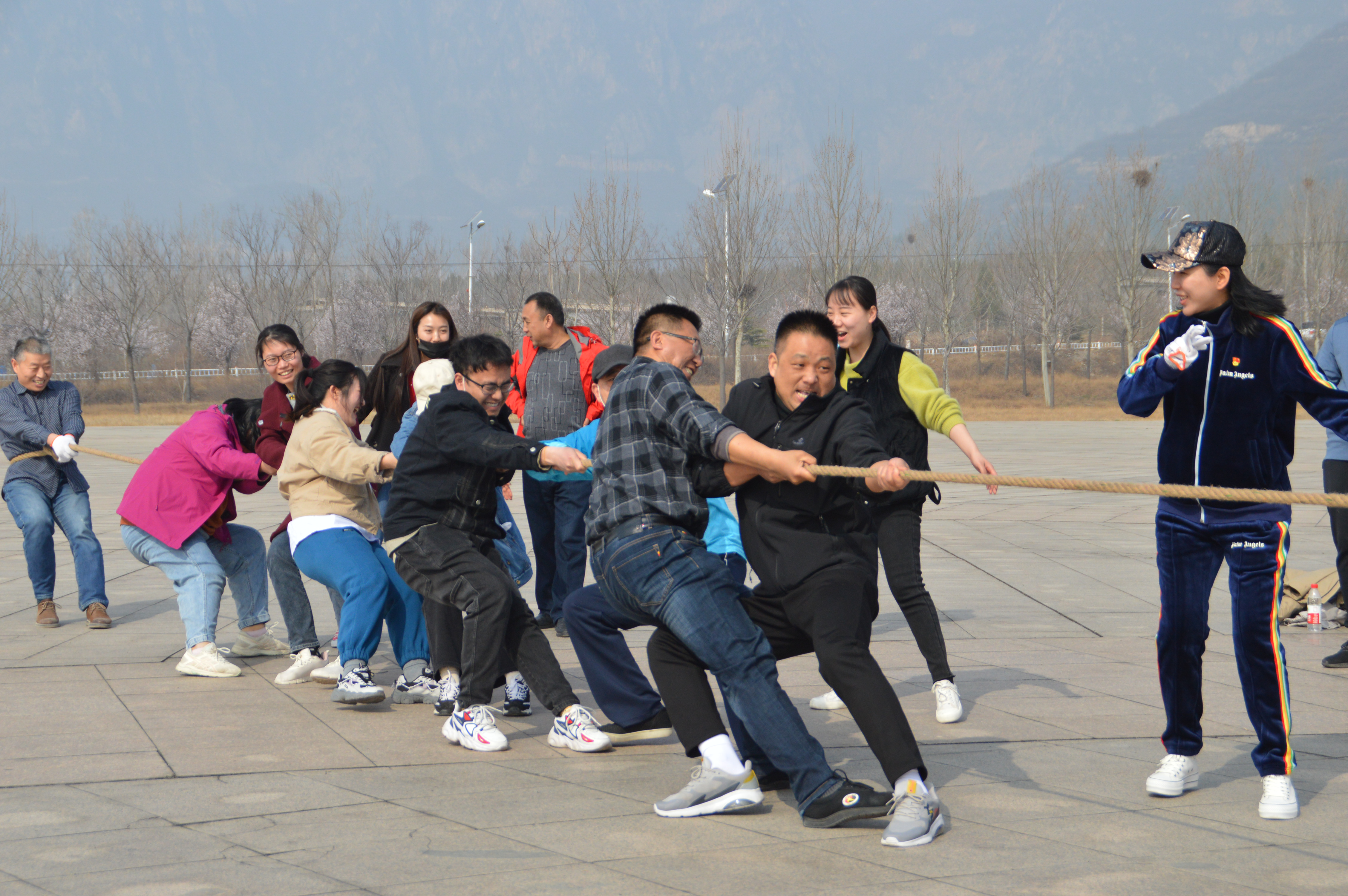图片2.png