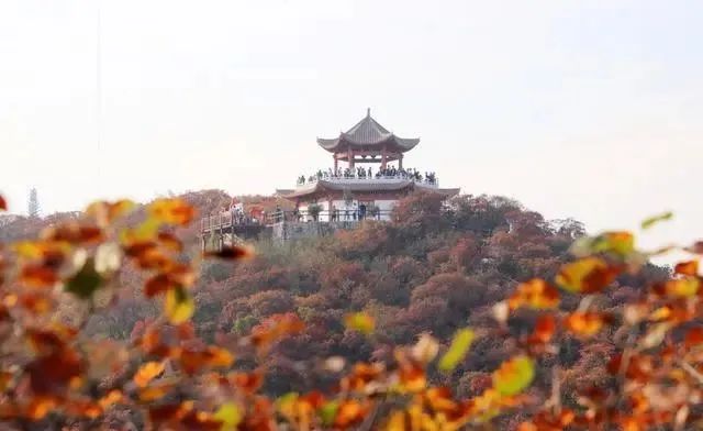 微信图片_20231025091330.jpg