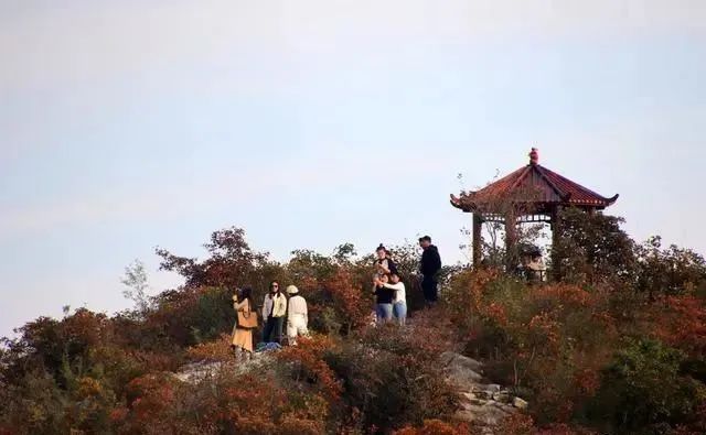 微信图片_20231025091337.jpg