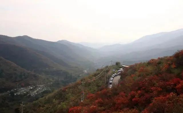 微信图片_20231025091344.jpg