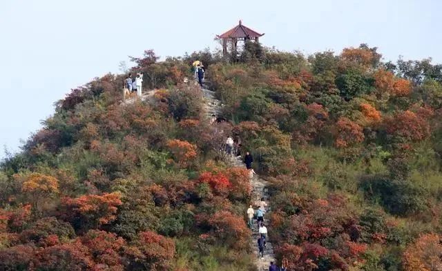 微信图片_20231025091351.jpg