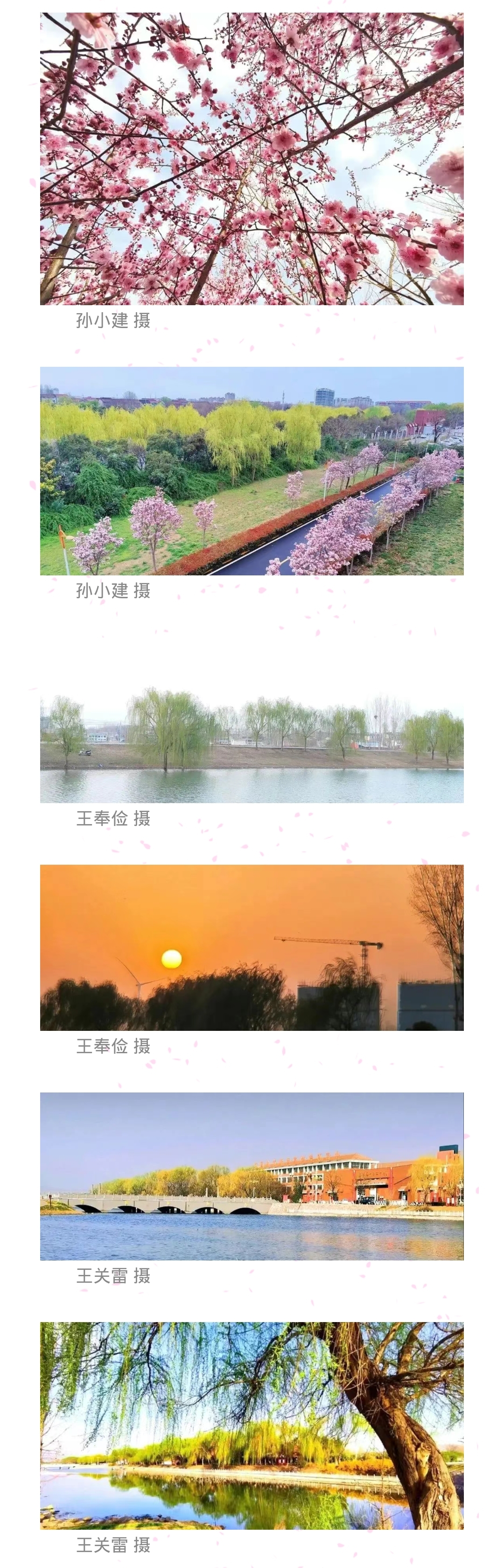 05.jpg