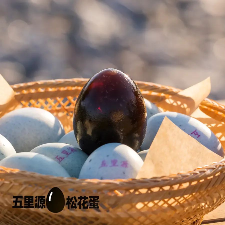 微信图片_20241122092151.jpg