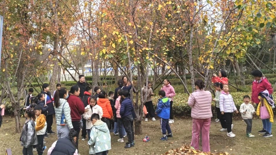微信图片_20241201092602.jpg