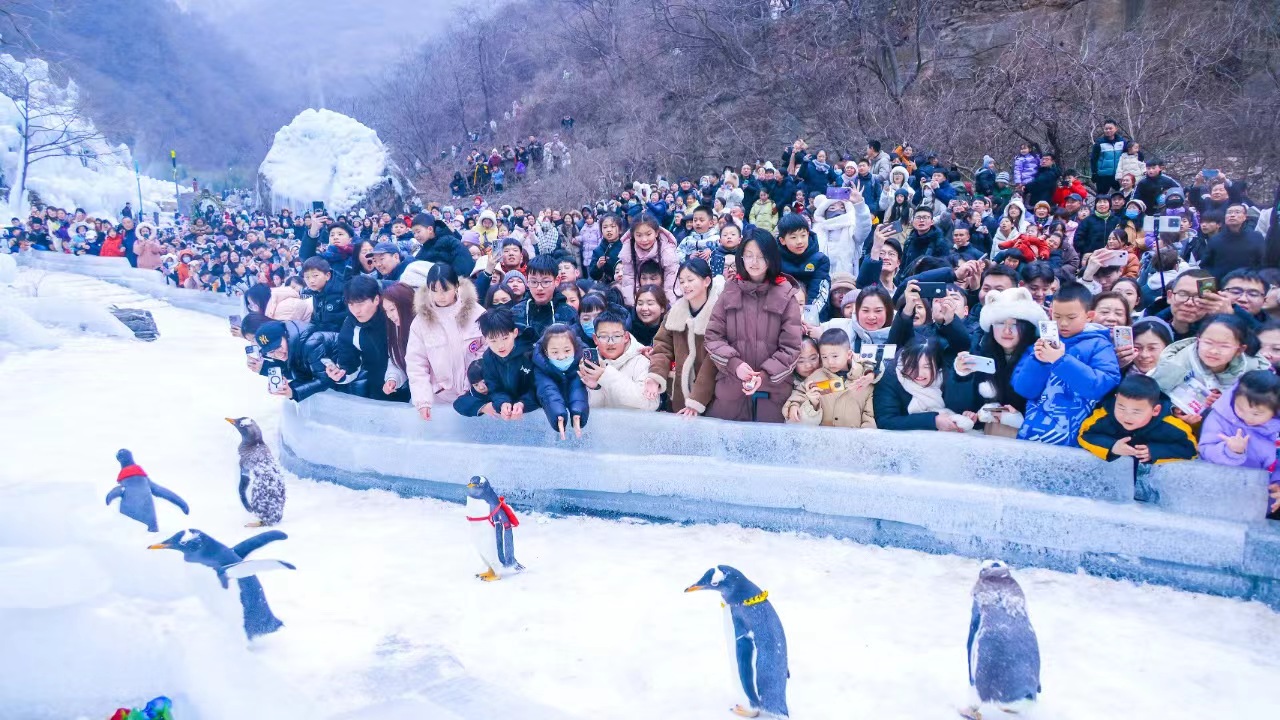 微信图片_20250215092215.jpg