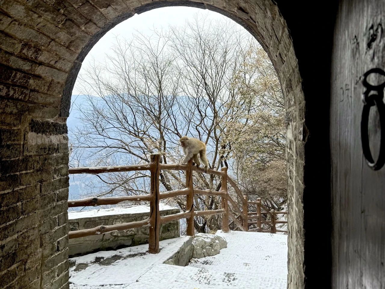 微信图片_20250221092314.jpg 微信图片_20250221092314.jpg