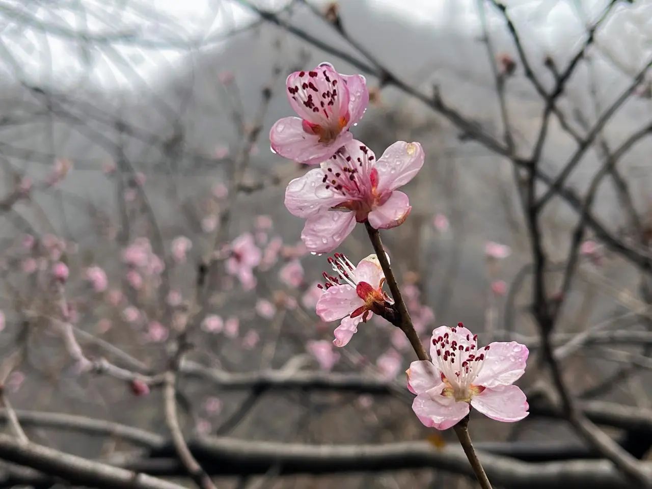 微信图片_20250221092324.jpg 微信图片_20250221092324.jpg