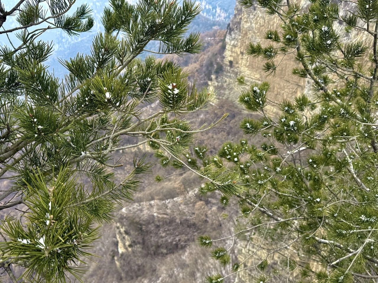 微信图片_20250221092328.jpg 微信图片_20250221092328.jpg