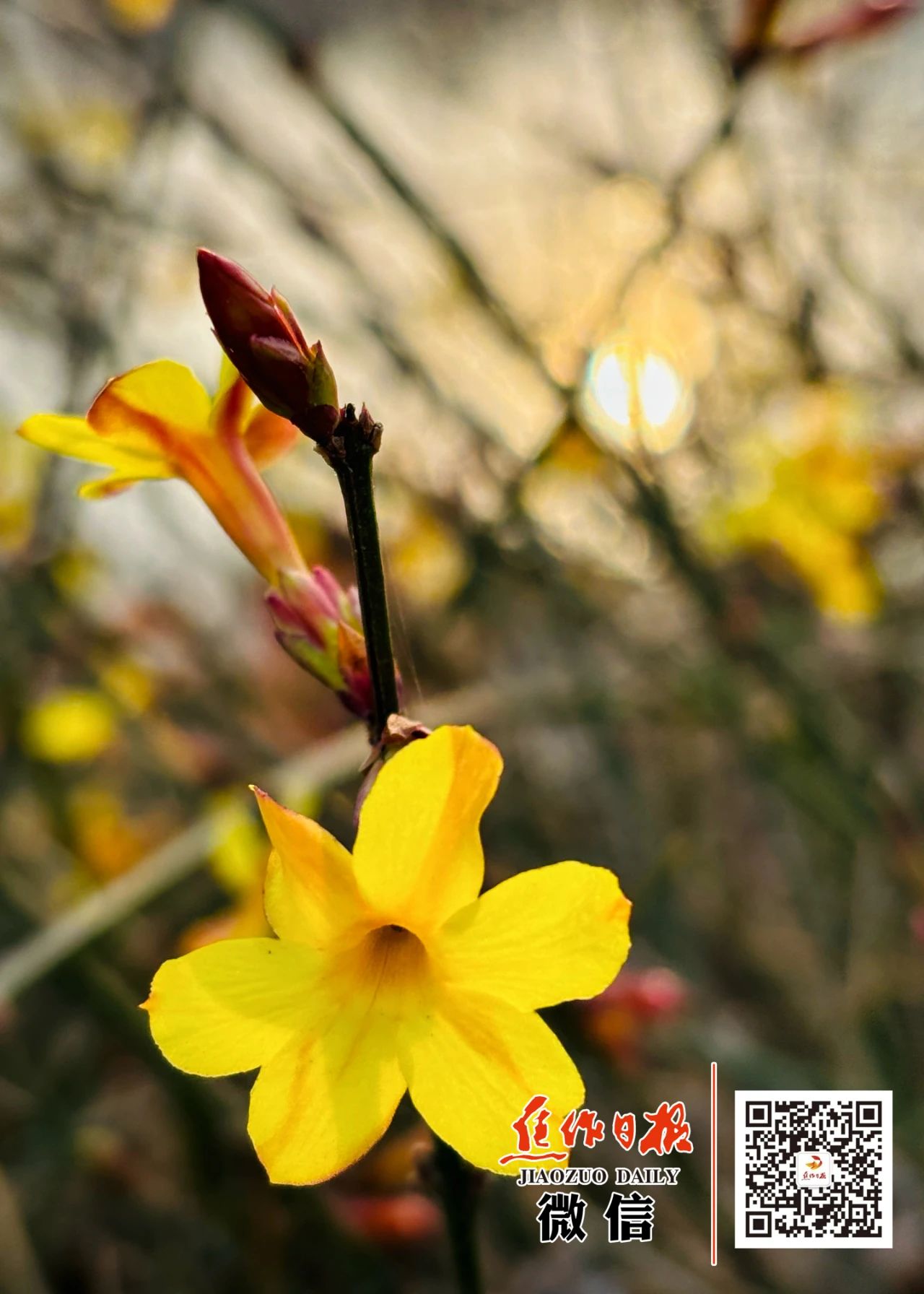 微信图片_20250224092249.jpg 微信图片_20250224092249.jpg