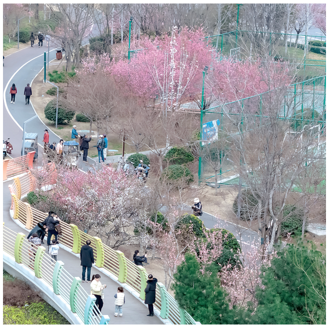 d6e431f9e952adc49727d1c77eec0d41.jpg d6e431f9e952adc49727d1c77eec0d41.jpg