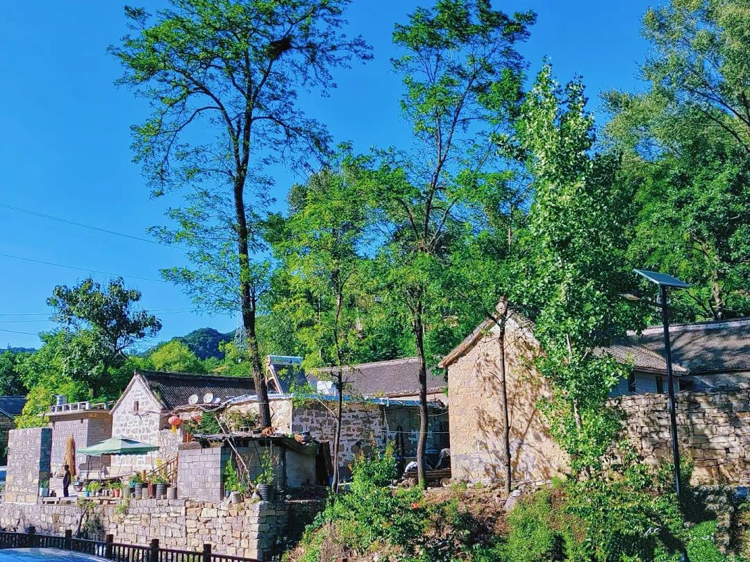 微信图片_20250320094754.jpg 微信图片_20250320094754.jpg