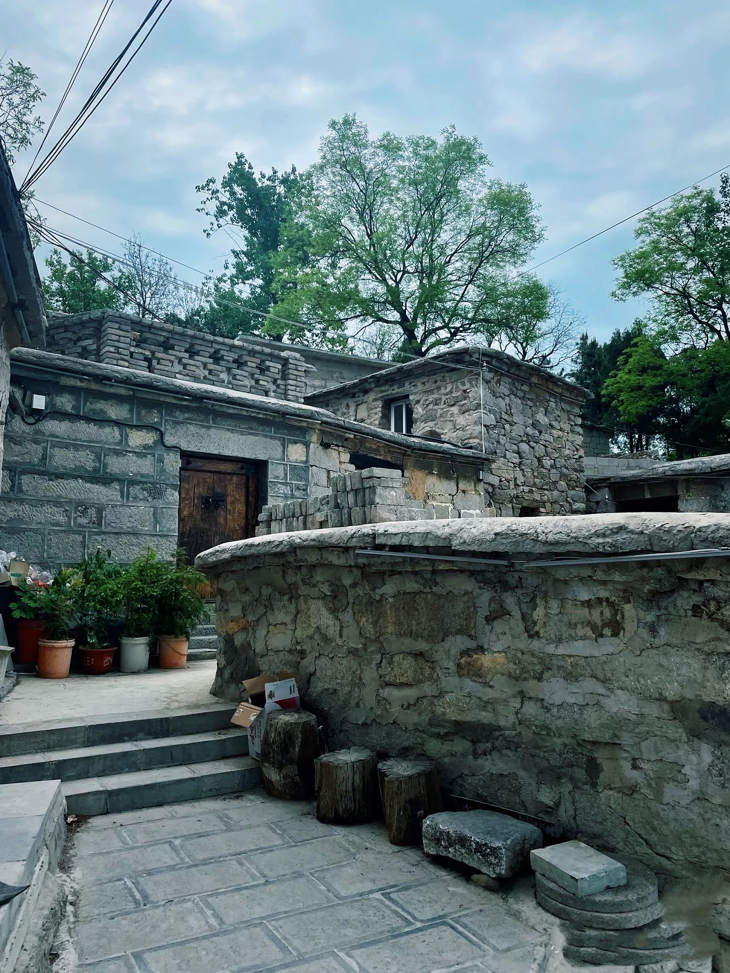 微信图片_20250320094800.jpg 微信图片_20250320094800.jpg