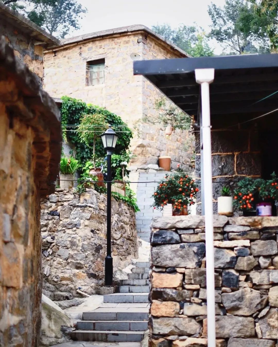 微信图片_20250320094809.jpg 微信图片_20250320094809.jpg