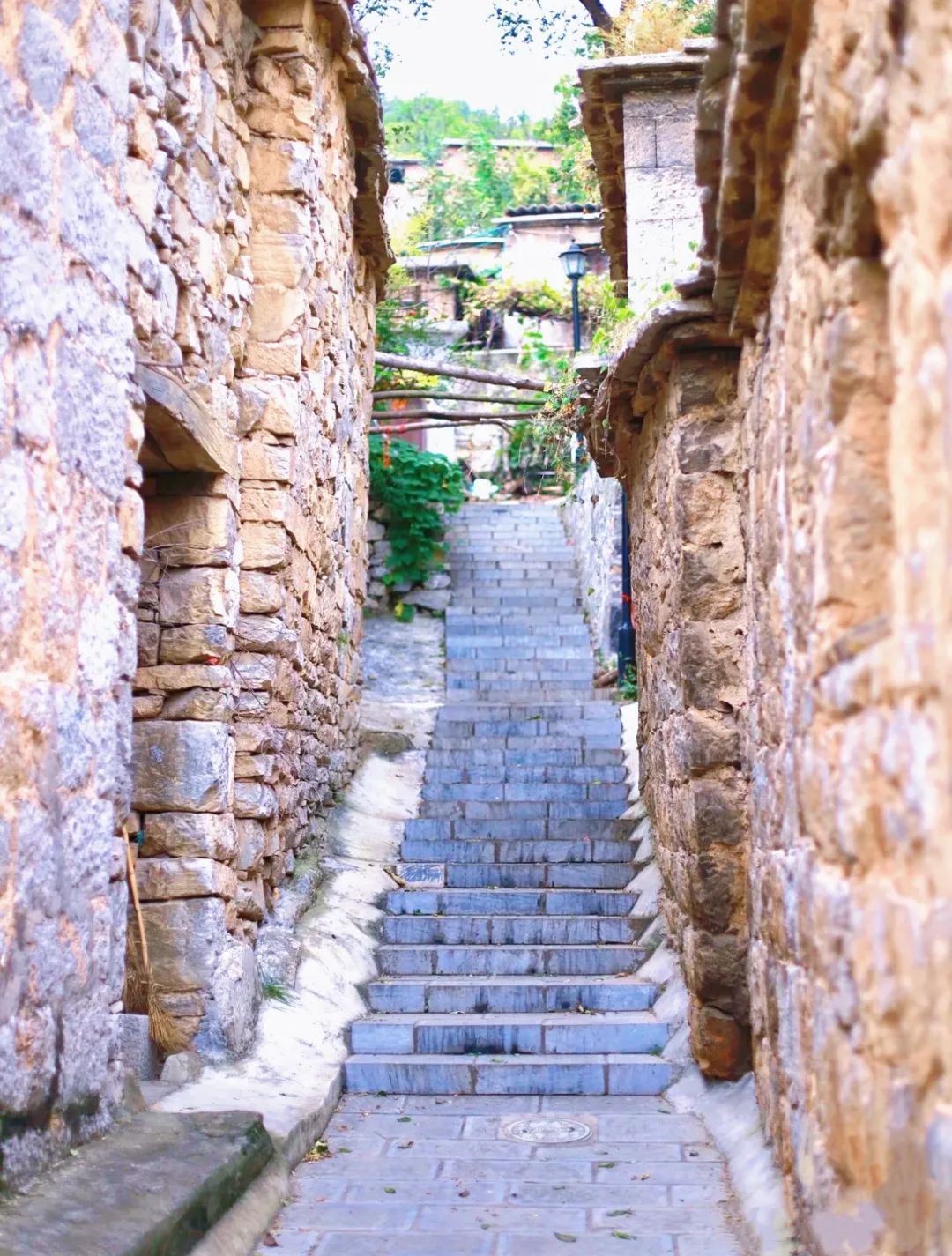 微信图片_20250320094812.jpg 微信图片_20250320094812.jpg