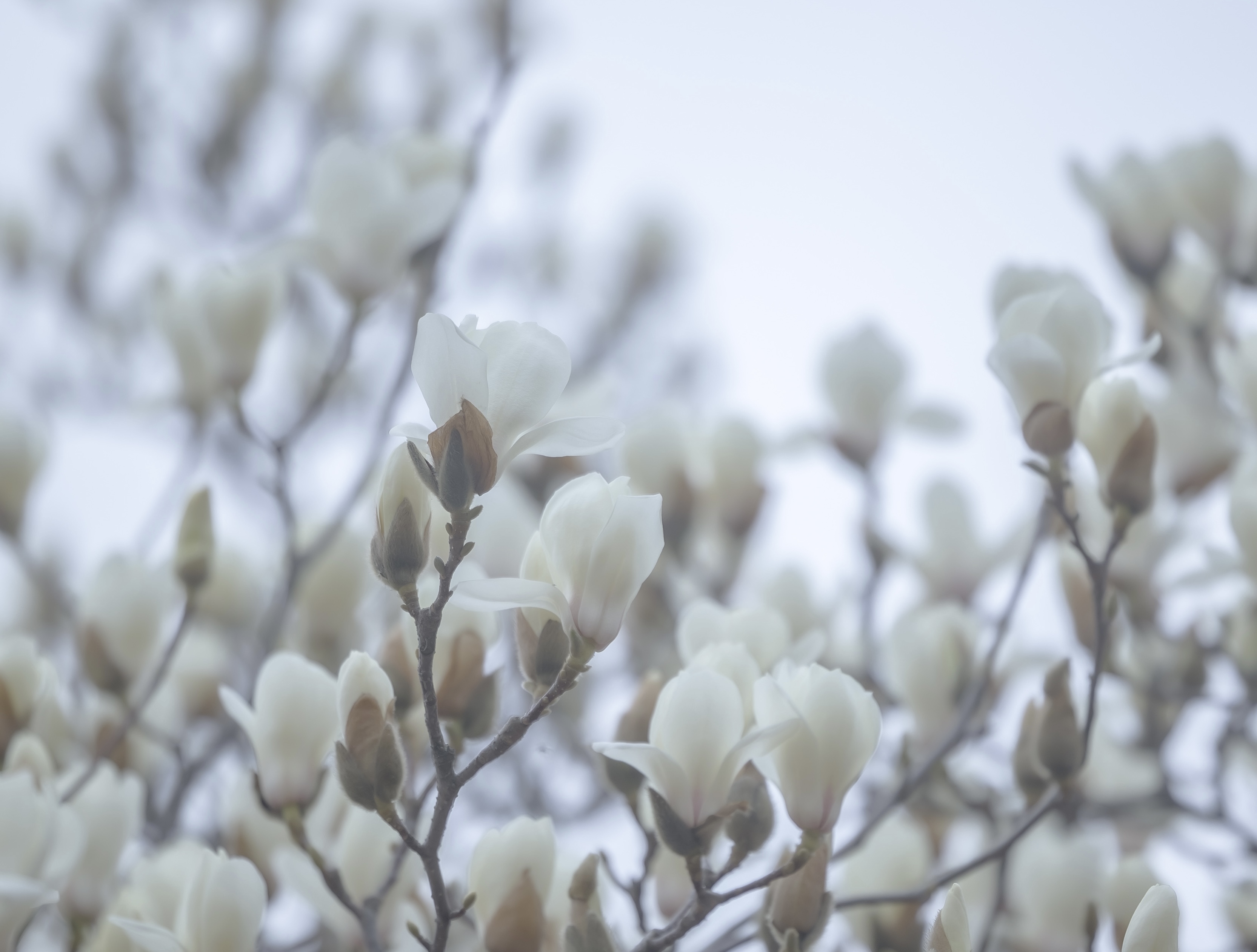 微信图片_20250320083945.jpg 微信图片_20250320083945.jpg