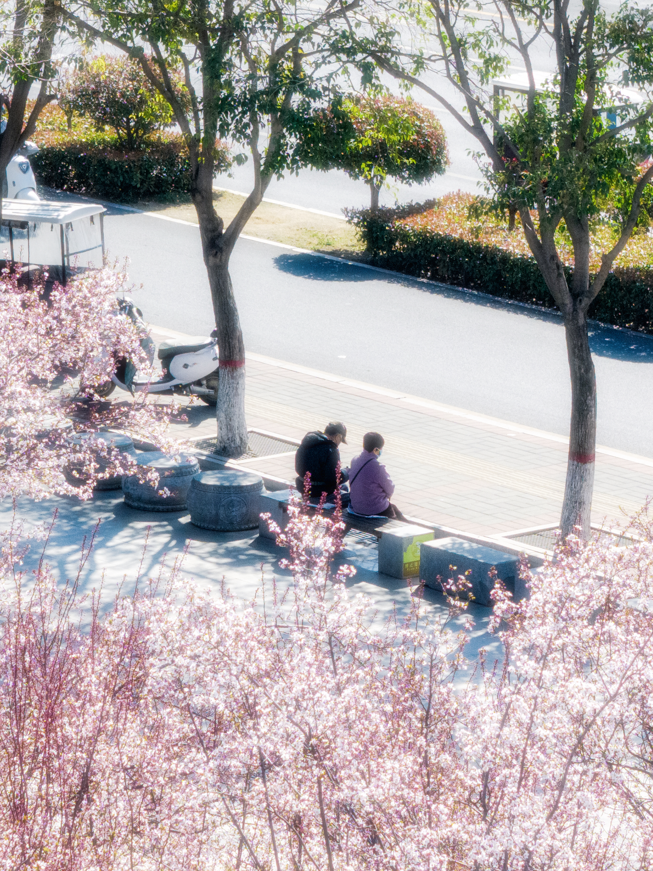 微信图片_20250320083928.jpg 微信图片_20250320083928.jpg