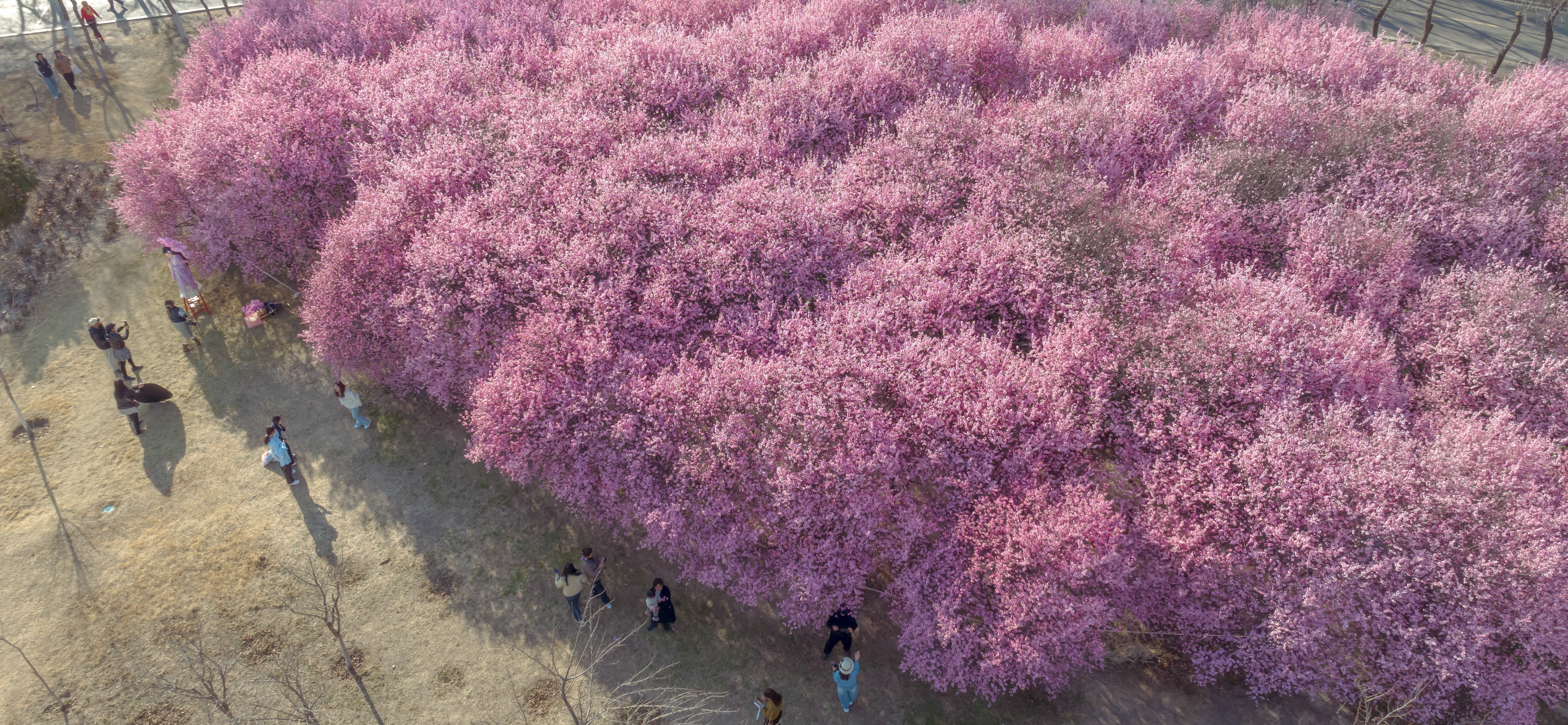 微信图片_20250320083932.jpg 微信图片_20250320083932.jpg