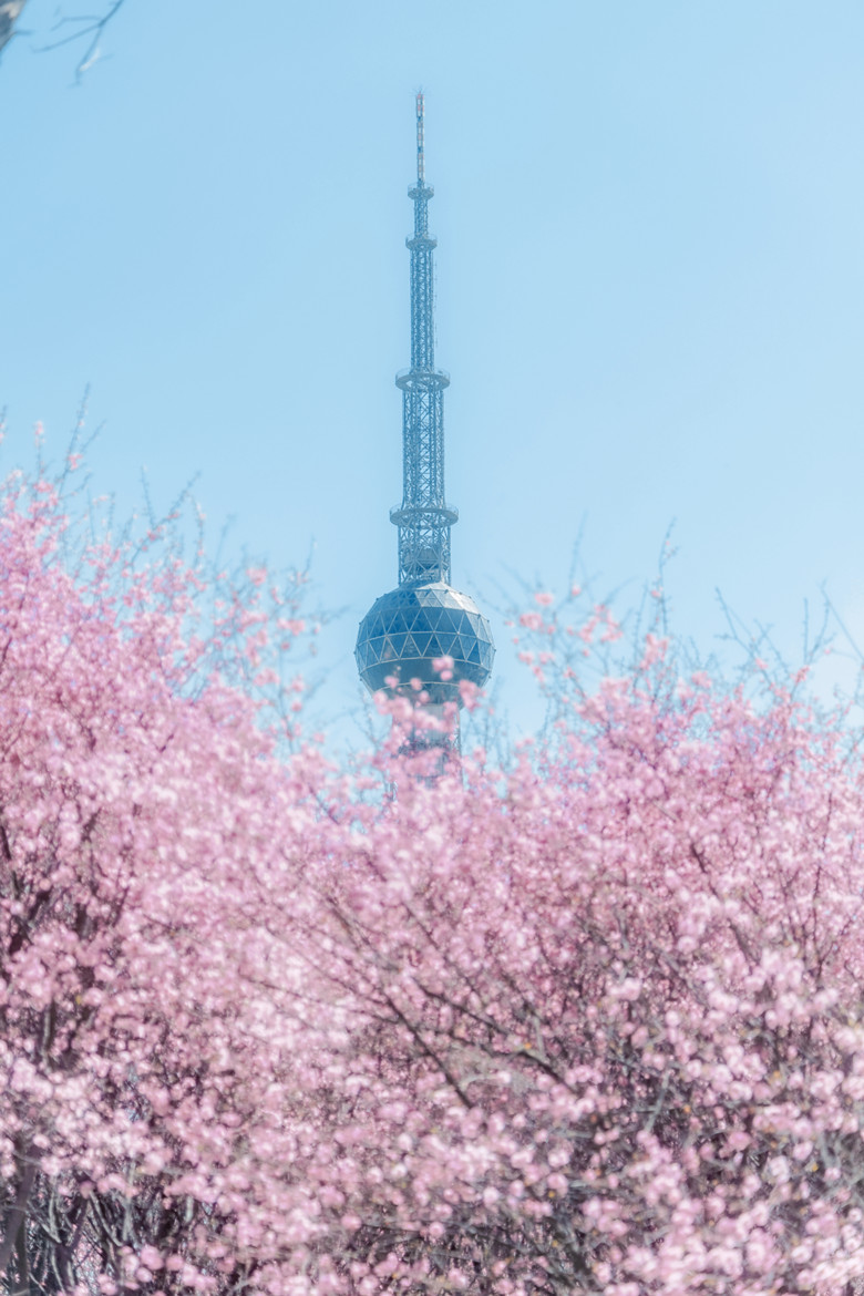 微信图片_20250320084201.jpg 微信图片_20250320084201.jpg