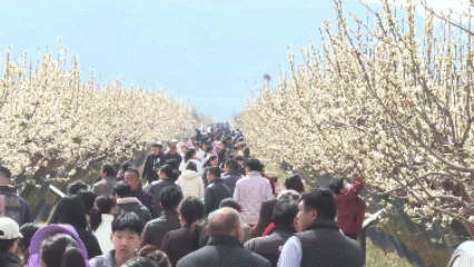 640 (2).gif 640 (2).gif