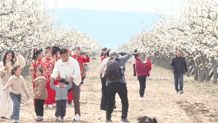 640 (3).gif 640 (3).gif