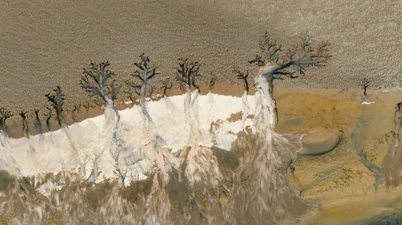 微信图片_20250406101805.jpg 微信图片_20250406101805.jpg