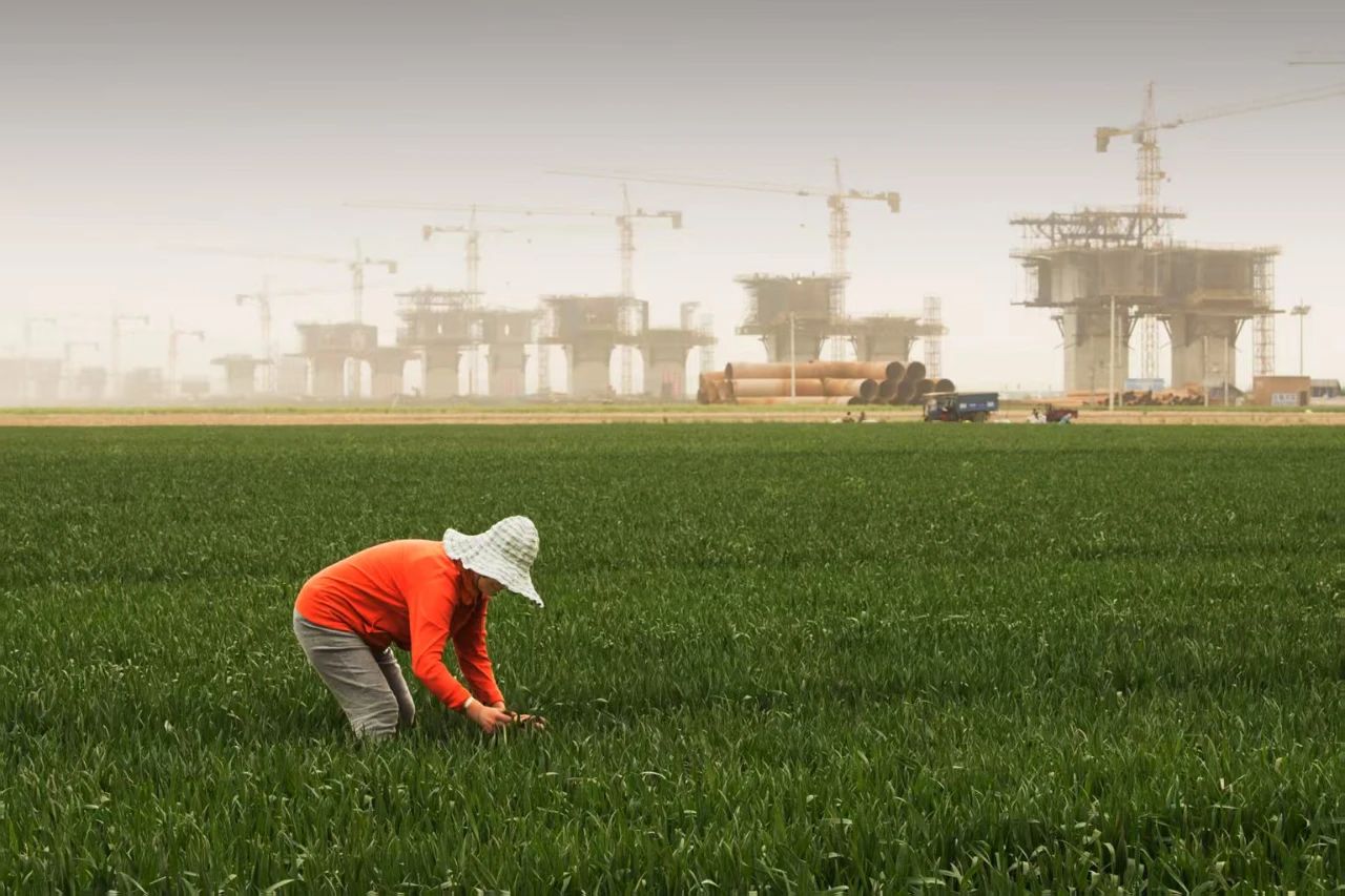 微信图片_20250406101811.jpg 微信图片_20250406101811.jpg