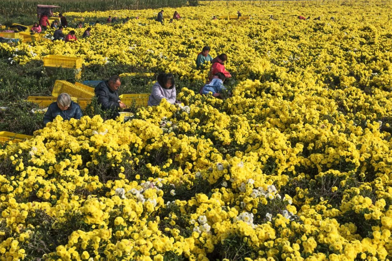 微信图片_20250406101813.jpg 微信图片_20250406101813.jpg