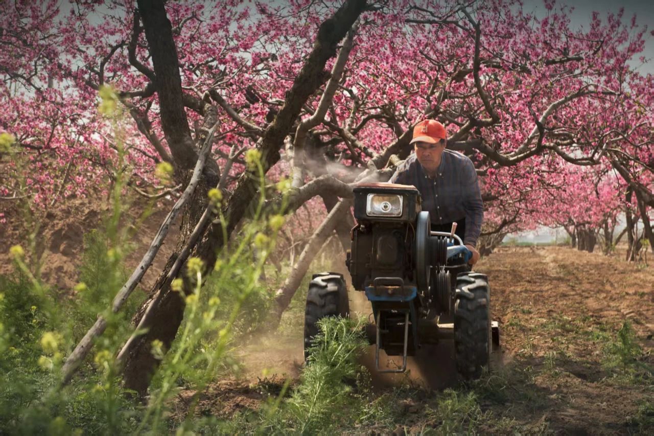 微信图片_20250406101816.jpg 微信图片_20250406101816.jpg