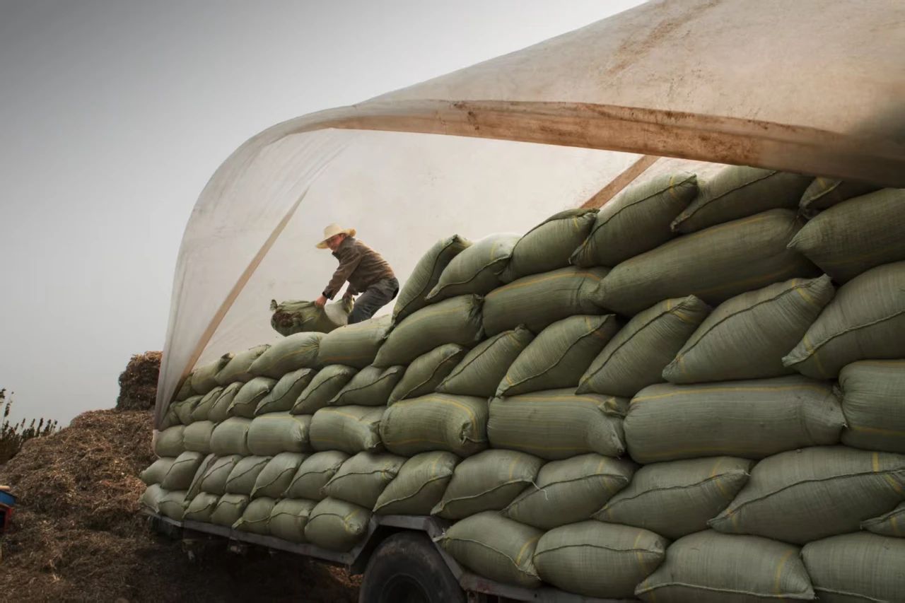 微信图片_20250406101819.jpg 微信图片_20250406101819.jpg