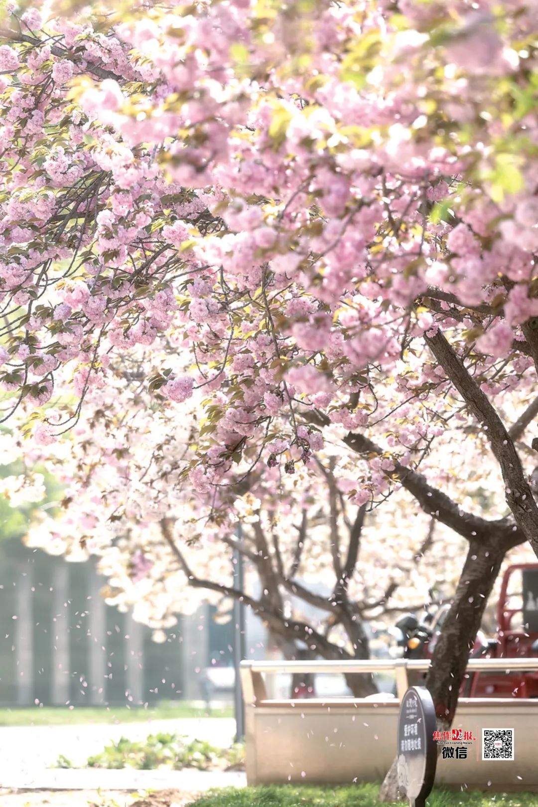 640 (1).jpg 640 (1).jpg