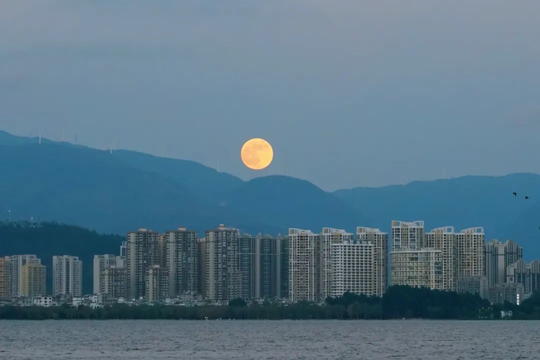 微信图片_20250714121616.jpg