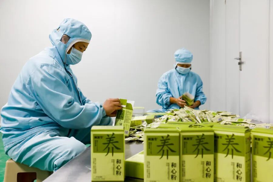 武陟：怀药丰收“钱”景广